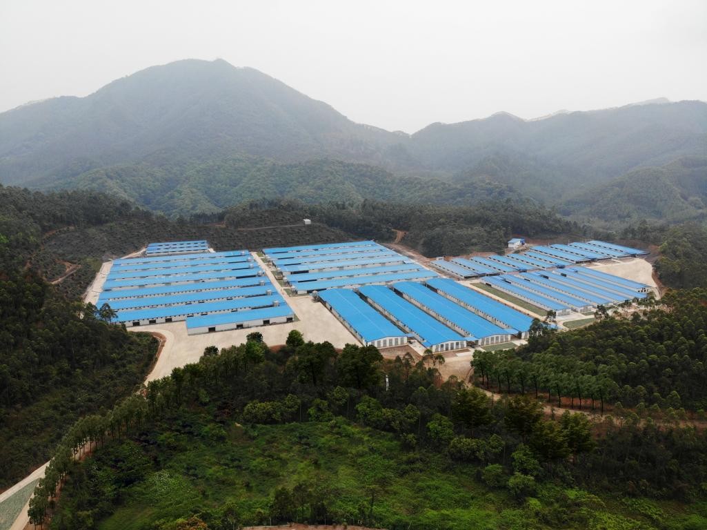 出口示范基地“進(jìn)階記”④ | 出口創(chuàng)匯8677萬美元，唐順興食品爭(zhēng)當(dāng)農(nóng)產(chǎn)品出口大戶