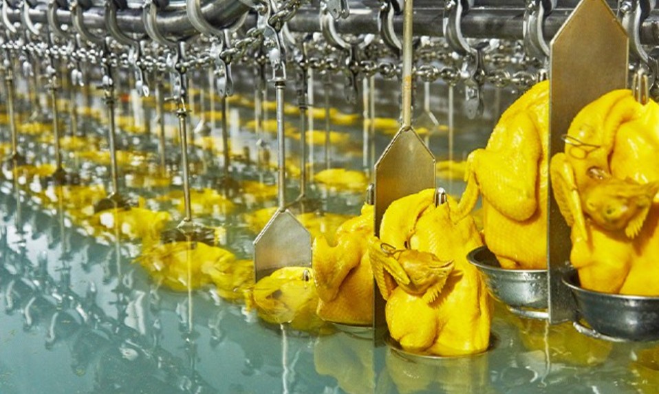 唐順興港式燒臘：美味傳承，盡顯港風(fēng)韻味