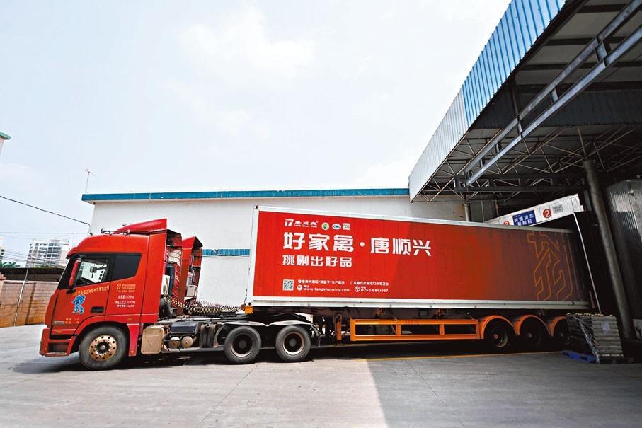 唐順興：解鎖白切雞風(fēng)味，食材源頭直供批發(fā)廠家