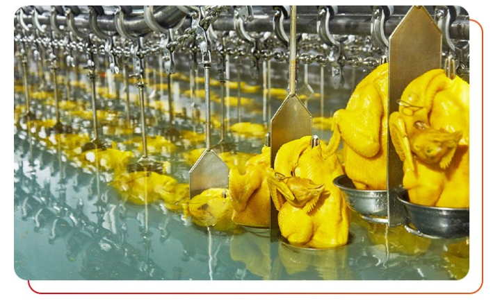 雞肉是否經(jīng)過檢測，有無相關(guān)的檢測報告？