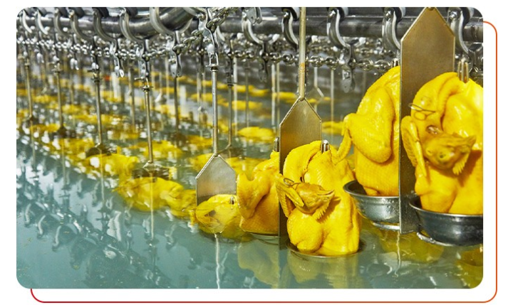 唐順興白切雞食材供應(yīng)商配送嗎?