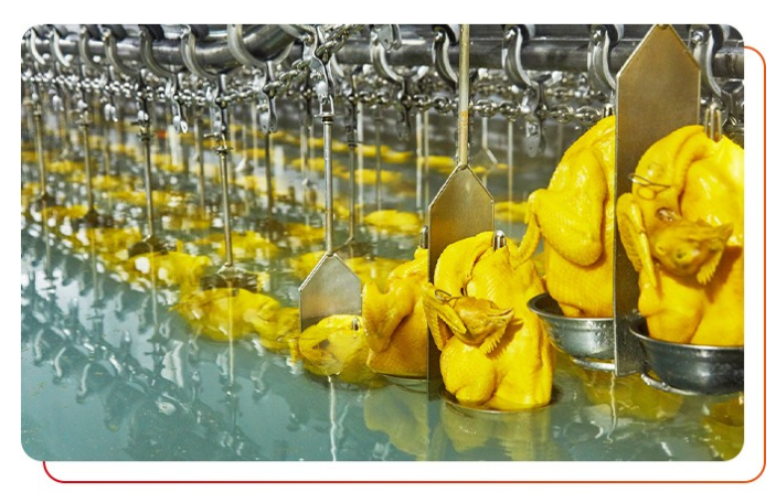 唐順興白切雞食材批發(fā)有什么優(yōu)勢