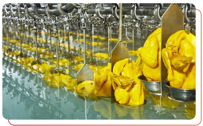 白切雞食材供應(yīng)商唐順興的優(yōu)勢特點